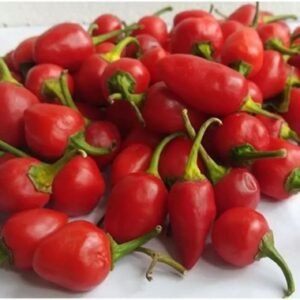 Dallay Khorsani — Red Cherry Pepper Chilli Preserve