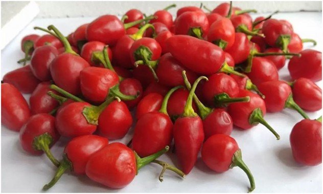 Dallay Khorsani — Red Cherry Pepper Chilli Preserve