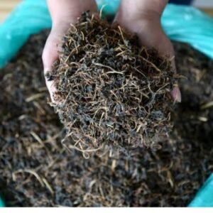 Gundruk — Fermented Leafy Vegetable Preserve
