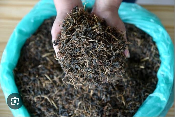 Gundruk — Fermented Leafy Vegetable Preserve