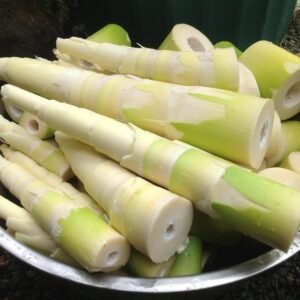 Taba — Fermented Bamboo Shoot Preserve